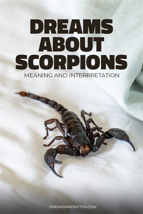 Analyzing the Fear and Anxiety Associated with Scorpion Dreams