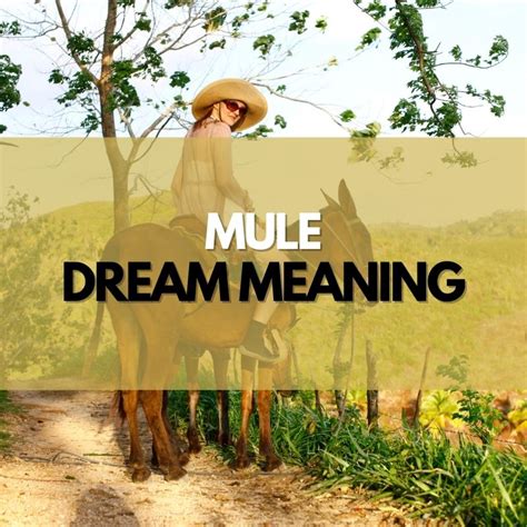 Analyzing the Gendered Symbolism of Mules in Dream Imagery