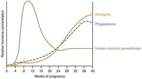 Analyzing the Link Between Maternal Hormones and Dream Patterns During Pregnancy