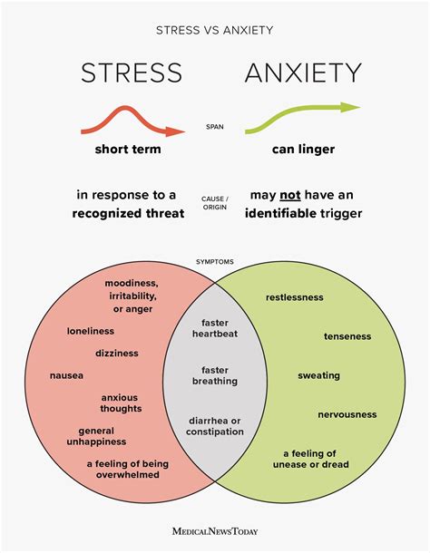 Analyzing the Possible Effects of Stress and Anxiety on Dreaming about the Legal System