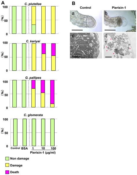 Analyzing the Presence of Larvae: