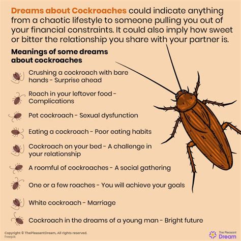 Analyzing the Presence of Roaches in Dreams