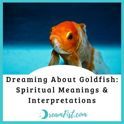 Analyzing the Psychological Meanings of Dreaming about Goldfish