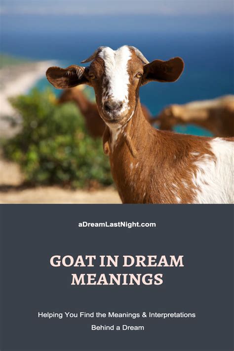 Analyzing the Psychological Significance of Consuming Goat Cranium in Dreams