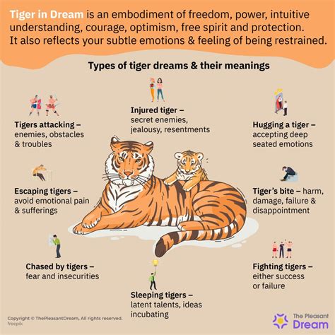 Analyzing the Symbolism and Significance of a Dream Featuring a Young Tiger