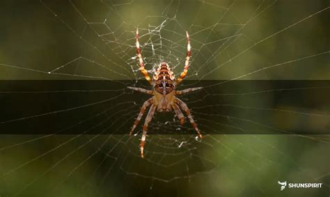 Ancient Beliefs and Cultural Interpretations: Spider Symbolism in Dream Analysis