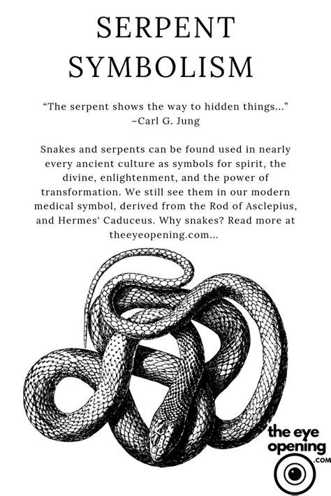 Ancient Beliefs and Superstitions: Interpretations of Dreams Involving Serpents