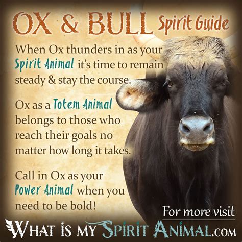 Ancient Cultures and the Significance of Oxen