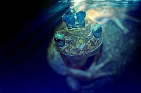 Ancient Legends and Folklore: The Symbolism of the Mysterious Golden Amphibian