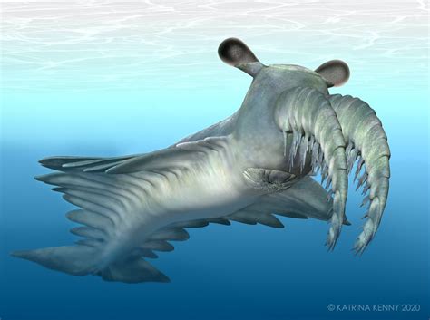 Ancient Marine Monsters: The Legacy of Prehistoric Ocean Creatures