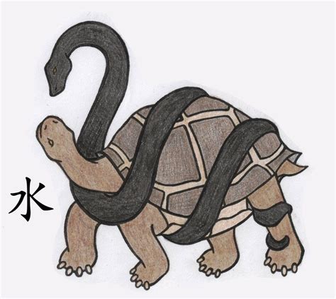 Ancient Mythology: The Divine Black Turtle