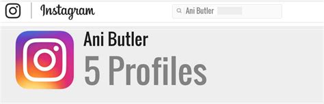 Ani Butler's Net Worth and Assets