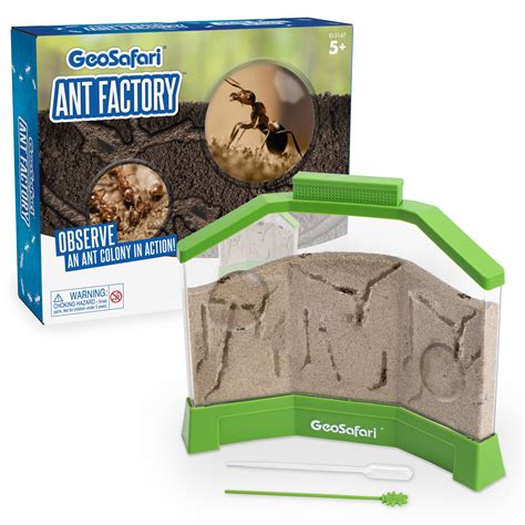 Ant Farms as Educational Tools for Children