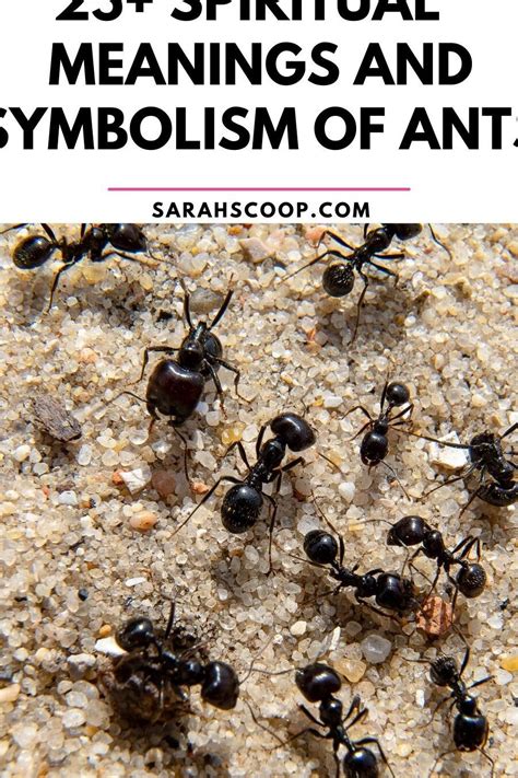 Ants: Tiny Creatures with Profound Significance