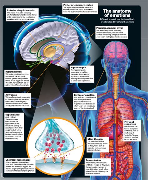 Anxiety and Fear: Understanding the Emotions Behind the Dream