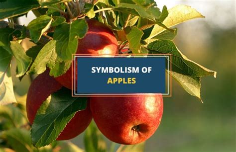 Apples and Their Symbolism in Literature and Culture