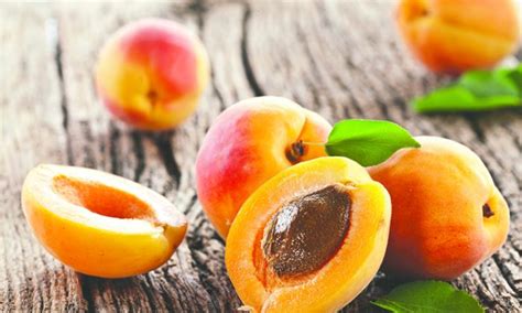 Apricots in Traditional Medicine: Healing Properties and Remedies