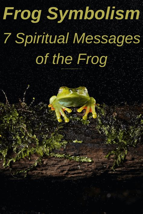 Aquatic Dreams: An Insightful Journey into Frog Symbolism