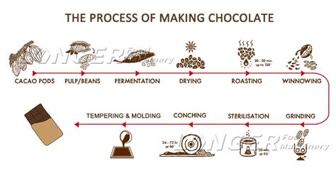 Artistry in Motion: Witnessing the Chocolate Making Process