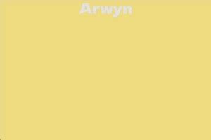 Arwyn's Net Worth: A Closer Look