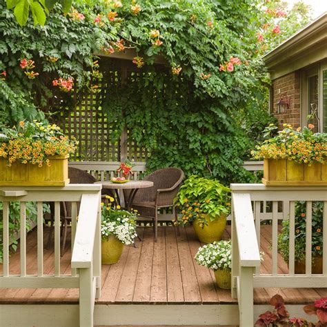 Assess Your Space: Unlocking the Potential of Your Backyard