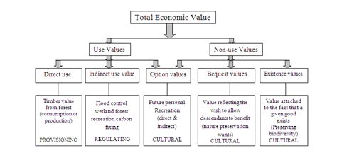 Assessing Financial Value