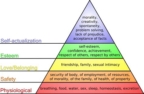 Assessing Your Lifestyle and Needs