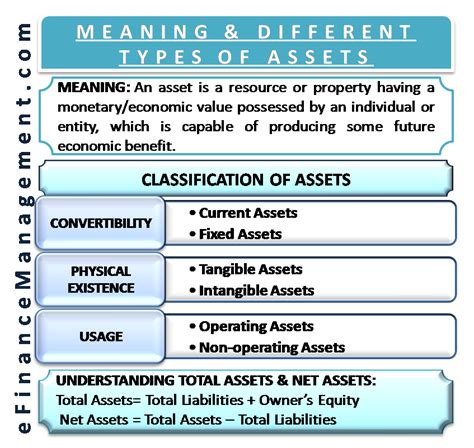 Assets and Financial Status of Molly Shaw
