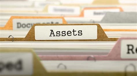 Assets and Properties Owned