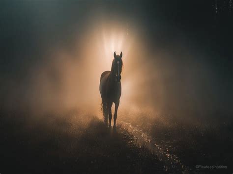 Astral and Spiritual Significance Associated with Equine Excretion Dreams