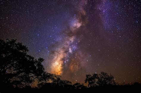 Astro-Photography: Capturing the Elusive Splendor of the Nocturnal Firmament