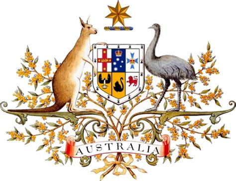 Australia's National Emblem: The Kangaroo