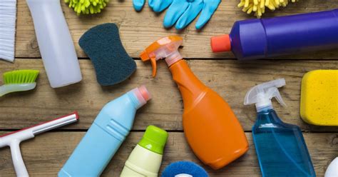 Avoiding the Use of Chemical Cleaning Products that Can Pose Risks to Your Pet