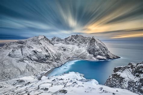 Awe-Inspiring Beauty: Capturing the Grace and Power of the Arctic Monarch in Photography