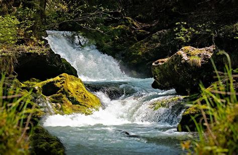 Awe-Inspiring Waterfall Hikes for Nature Enthusiasts and Adventure Seekers