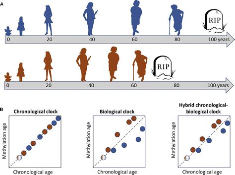 Background and Age Insights