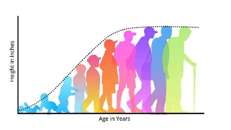 Background and Life Span