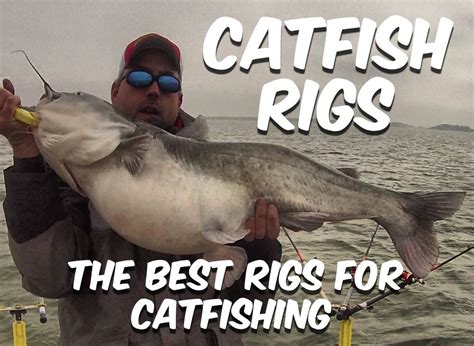 Bait and Lures: Finding the Perfect Combination for Monster Catfish