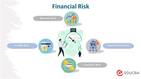 Balancing the Risks: The Role of Insurance in Attaining Financial Stability