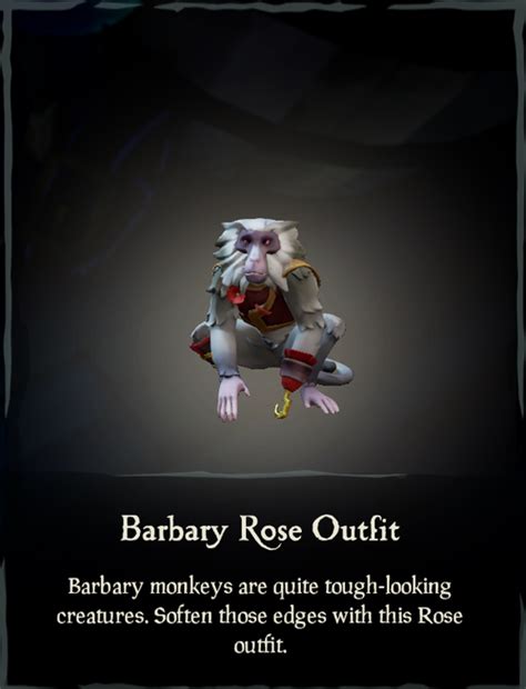 Barbary Rose's Physical Appearance