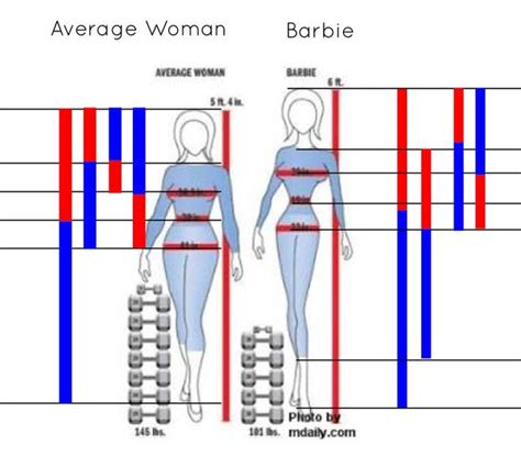 Barbie Chambers: Height and Body Measurements