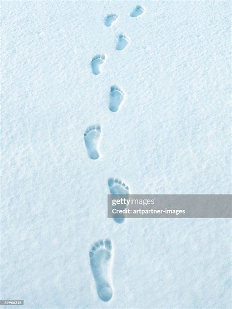 Bare Footprints in the Snow: Reflecting Resilience and Adaptability