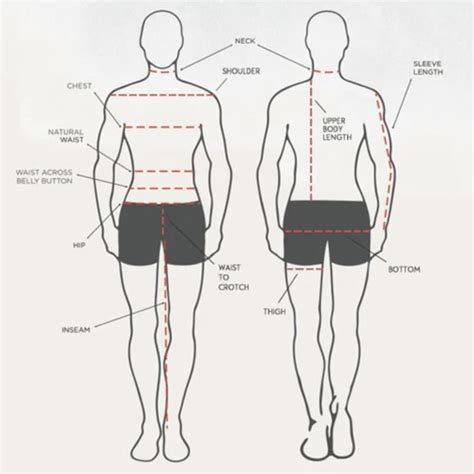 Barton Twins: Height and Body Measurements