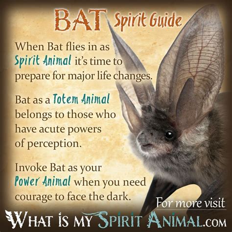 Bat Totem: The Power and Wisdom of the Soaring Mammal