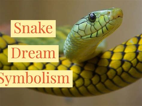 Battle against Fears: Analyzing the Symbolism of Shooting Snakes as an Expression of Conquering Challenges