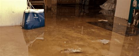 Battling the Waters: Effective Measures to Combat Indoor Flooding