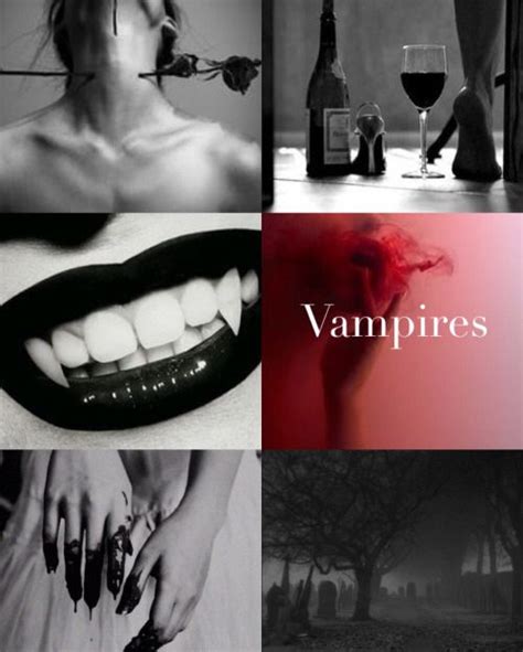 Beauty and Danger: The Fascination with Vampire Aesthetics