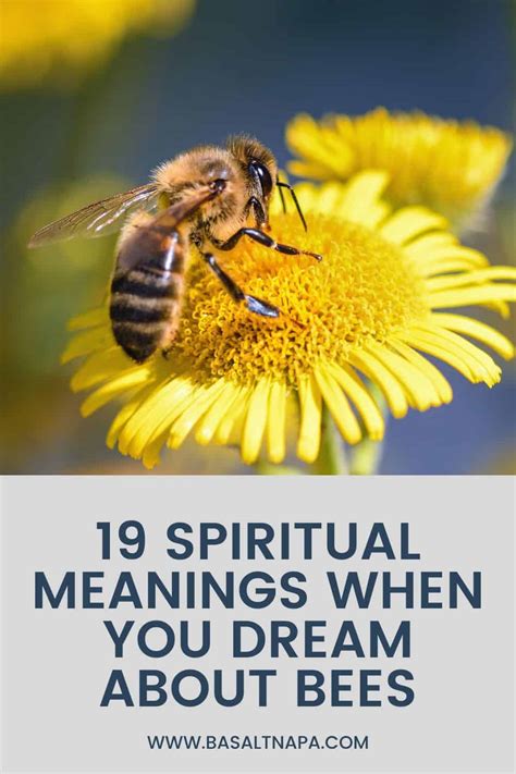 Bees as Spirit Guides: Exploring the Mystical Realm of Dream Symbolism