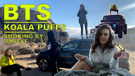 Behind the Scenes with Koala Puffs