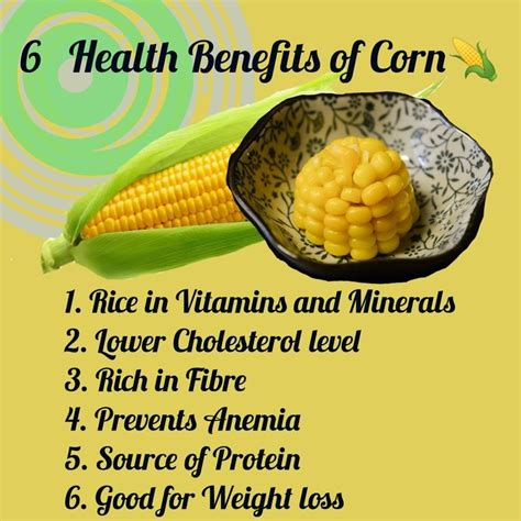 Benefits of Roasted Corn: Nutritional Value and Weight Loss Potential